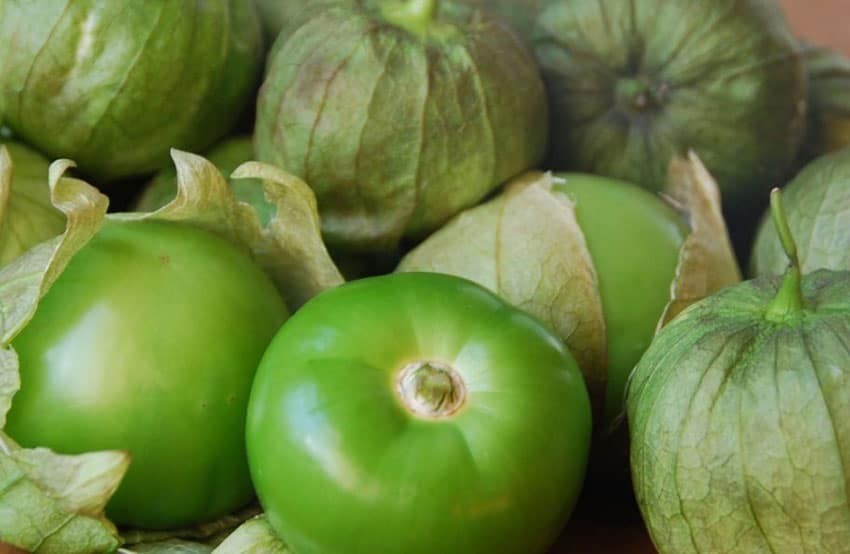 TropTable_FreshTomatillos2-1.jpg