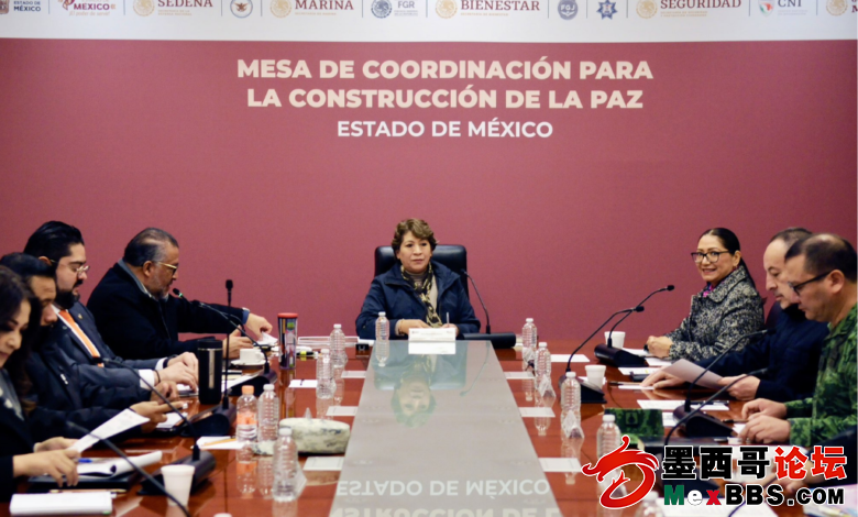 Presenta-Delfina-Gomez-estrategia-de-seguridad-para-Edomex-780x470.png