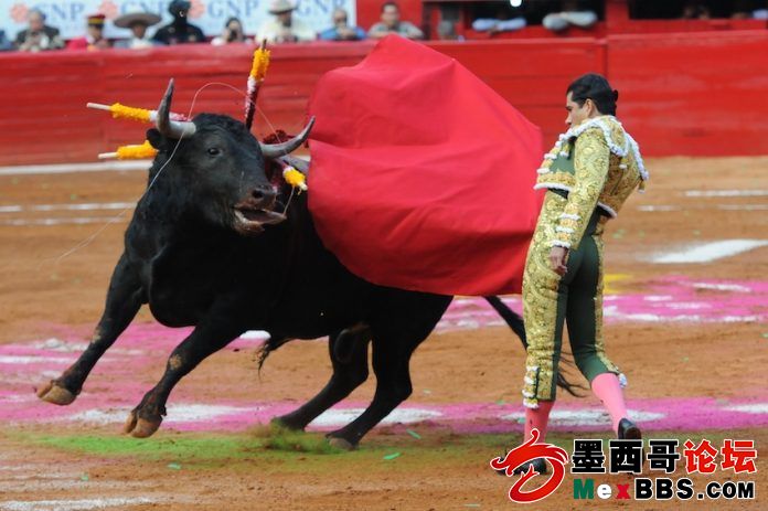 965005_Reapertura-Plaza-de-Toros_impreso-696x463.jpg